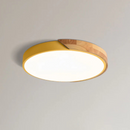Dual Tone Halo Ceiling Light