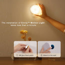 Soft Glow Disc Wall Light