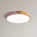 Dual Tone Halo Ceiling Light