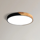 Dual Tone Halo Ceiling Light