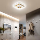 Dual Geometric LED Ceiling Light