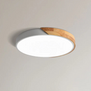 Dual Tone Halo Ceiling Light