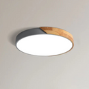 Dual Tone Halo Ceiling Light