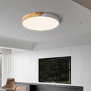 Dual Tone Halo Ceiling Light