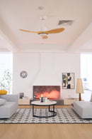 Aero Curve Wood Ceiling Fan