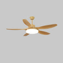 Asymmetric Blade Ceiling Fan with Light