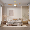 Asymmetric Blade Ceiling Fan with Light