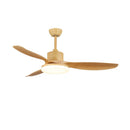 Asymmetric Blade Ceiling Fan with Light