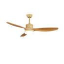 Asymmetric Blade Ceiling Fan with Light
