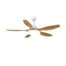 Asymmetric Blade Ceiling Fan with Light