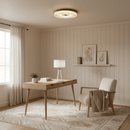 Modern Ayla LED Flush Mount Ceiling Light