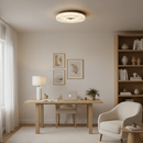 Modern Ayla LED Flush Mount Ceiling Light