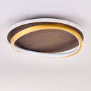 Contemporary Halo Disc Ceiling Light