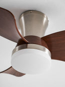Petal Sweep Ceiling Fan Light