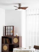 Petal Sweep Ceiling Fan Light