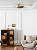 Petal Sweep Ceiling Fan Light