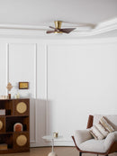 Petal Sweep Ceiling Fan Light