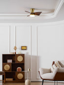 Petal Sweep Ceiling Fan Light