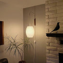Orb Wall Sconce