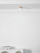 Wood Accent Drum Ceiling Light