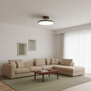 Vintage Adjustable Ceiling Lamp