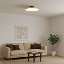 Vintage Adjustable Ceiling Lamp