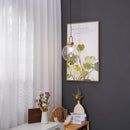 Modern Pendulum Glass Pendant Light