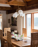 Mid Century Inspired Gooseneck Light Fixture