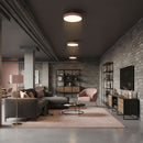 Aurelia Flush Mount Ceiling Lamp Modern LED Light Fixture