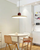 Contemporary Round LED Pendant Light