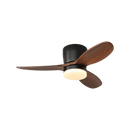 Wing Arc Fan Light