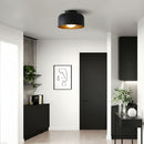 Luna Ceiling Light