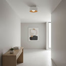 Luna Ceiling Light