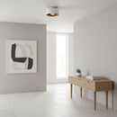 Luna Ceiling Light