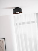 Luna Ceiling Light