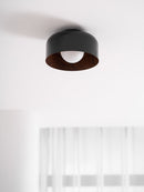 Luna Ceiling Light