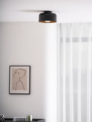 Luna Ceiling Light