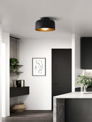 Luna Ceiling Light