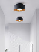 Luna Ceiling Light