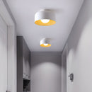 Luna Ceiling Light