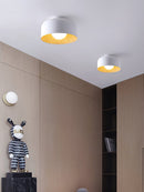 Luna Ceiling Light