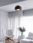 Luna Ceiling Light
