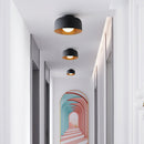 Luna Ceiling Light