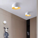 Luna Ceiling Light