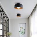 Luna Ceiling Light
