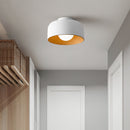 Luna Ceiling Light