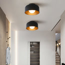 Luna Ceiling Light