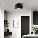Luna Ceiling Light