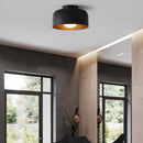 Luna Ceiling Light