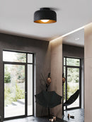 Luna Ceiling Light